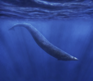 Basilosaurus