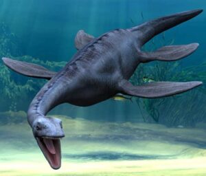 plesiosaur